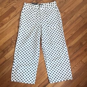NWT Wide leg, ankle, high-rise polka dot pants